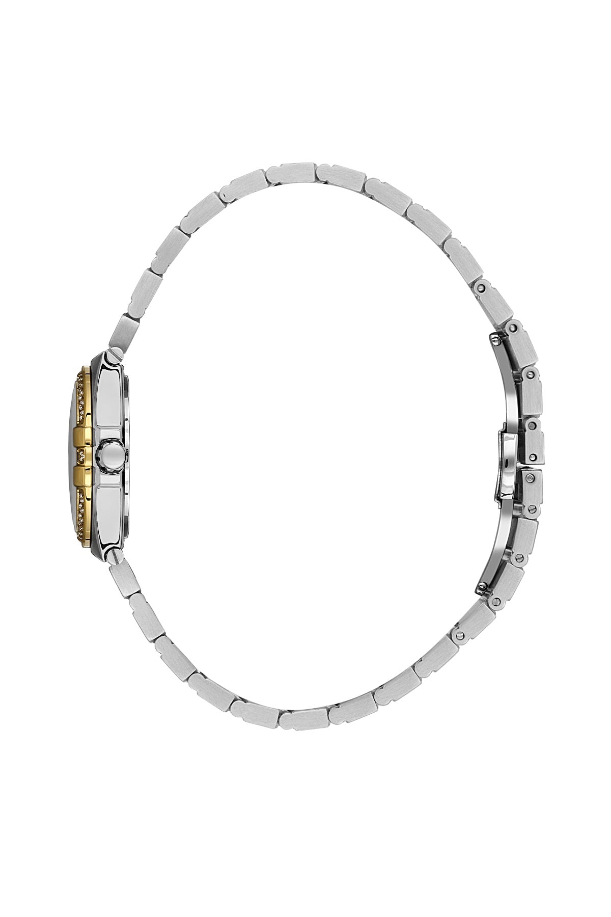 SANTA BARBARA POLO &amp; RACQUET CLUB Quartz VX82E11S Movement Green Dial Analouge Watch For- Ladies SB.1.10656-4